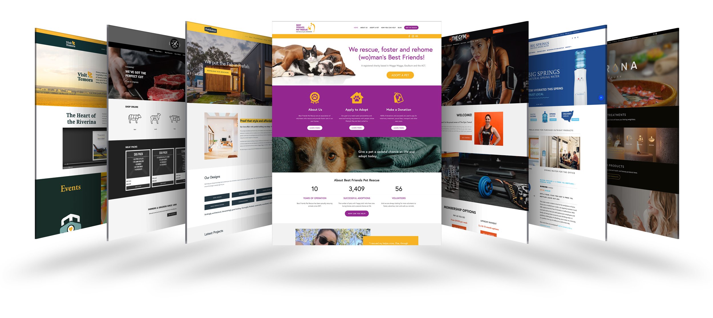 Bespoke website design for a specific set of users and purpose