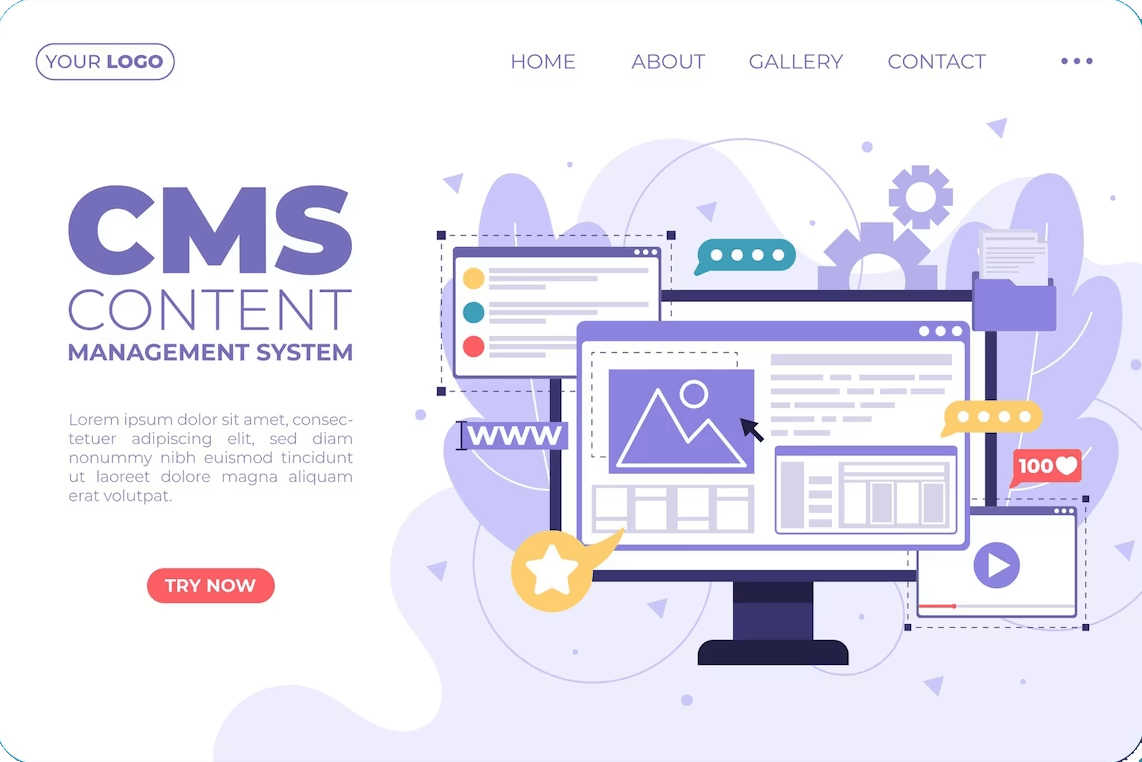 Bespoke website design for a specific set of users and purpose